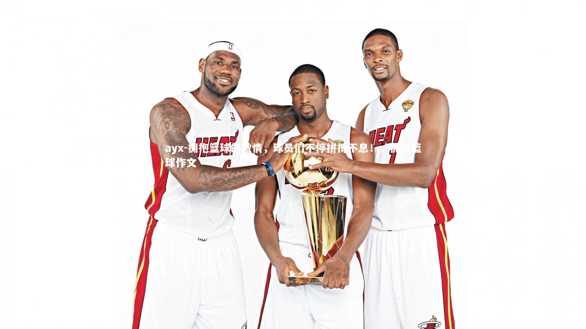 ayx-拥抱篮球的激情，球员们不停拼搏不息！，拥抱篮球作文