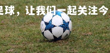 ayx-支持国内足球，让我们一起关注今日赛况，今日足球赛事解析
