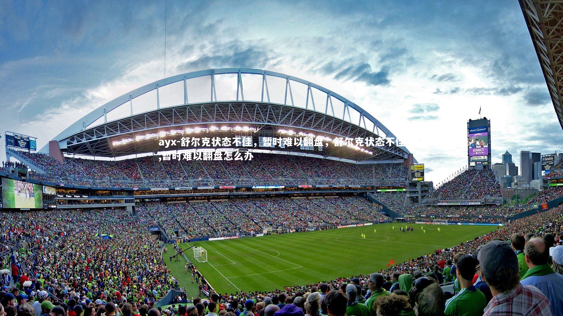 ayx-舒尔克状态不佳，暂时难以翻盘，舒尔克状态不佳,暂时难以翻盘怎么办