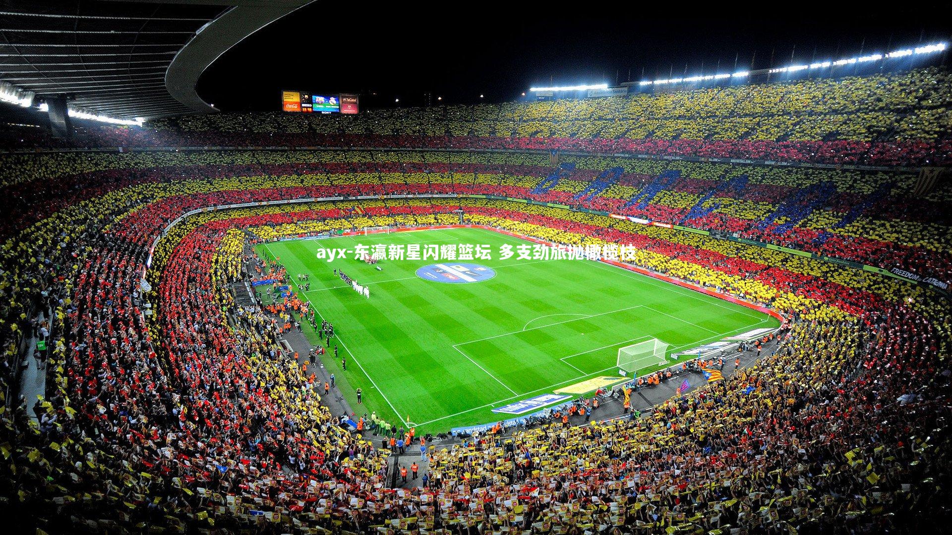 东瀛新星闪耀篮坛 多支劲旅抛橄榄枝